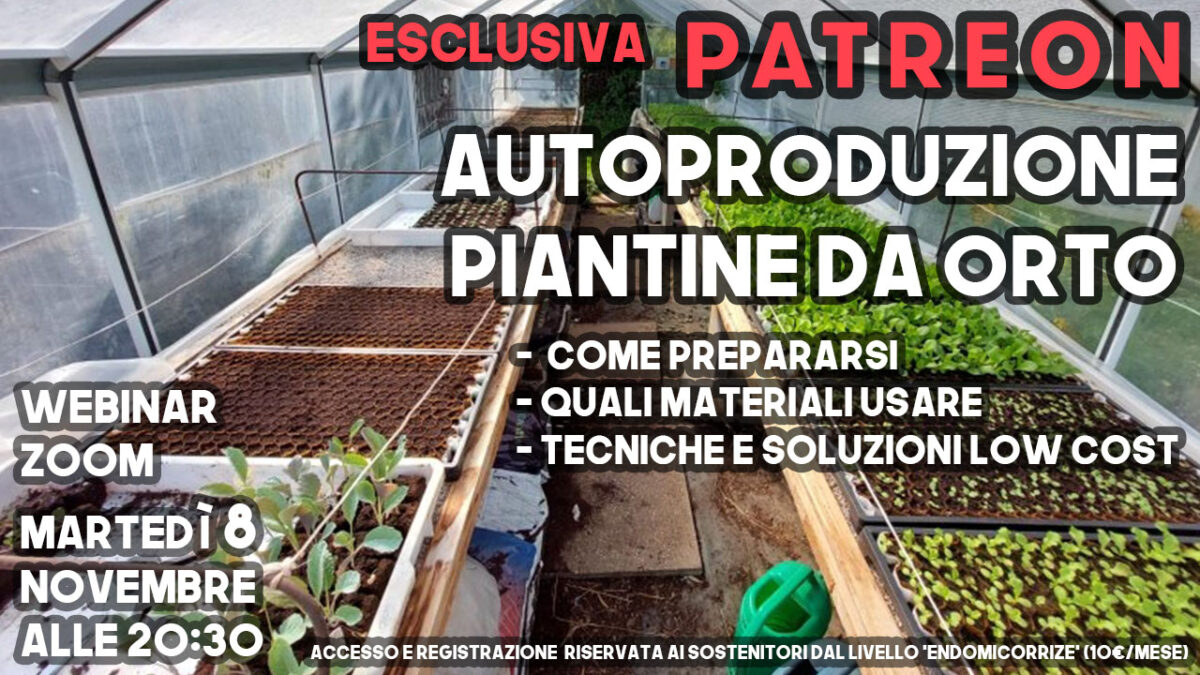 Focus Autoproduzione Piantine