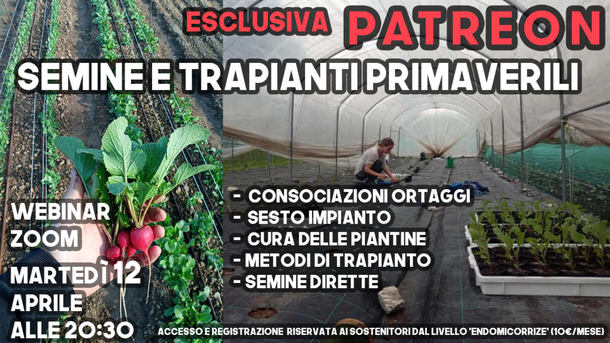 Promo Semine e Trapianti primaverili